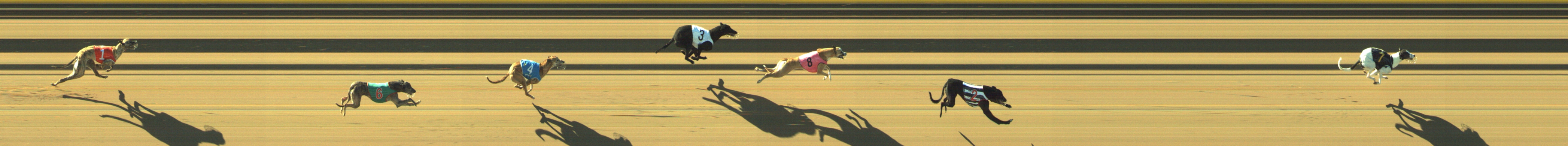 Race result finish photo