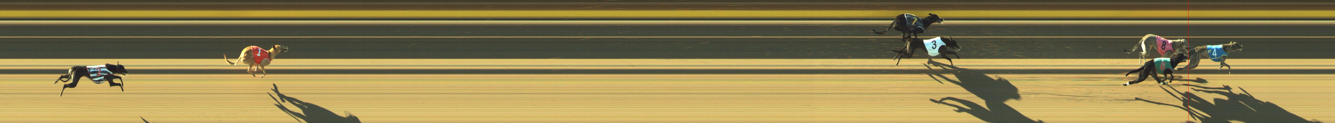 Photo finish for Geelong Race 2