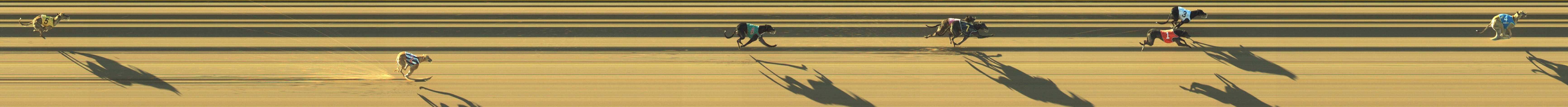 Photo finish for Geelong Race 3