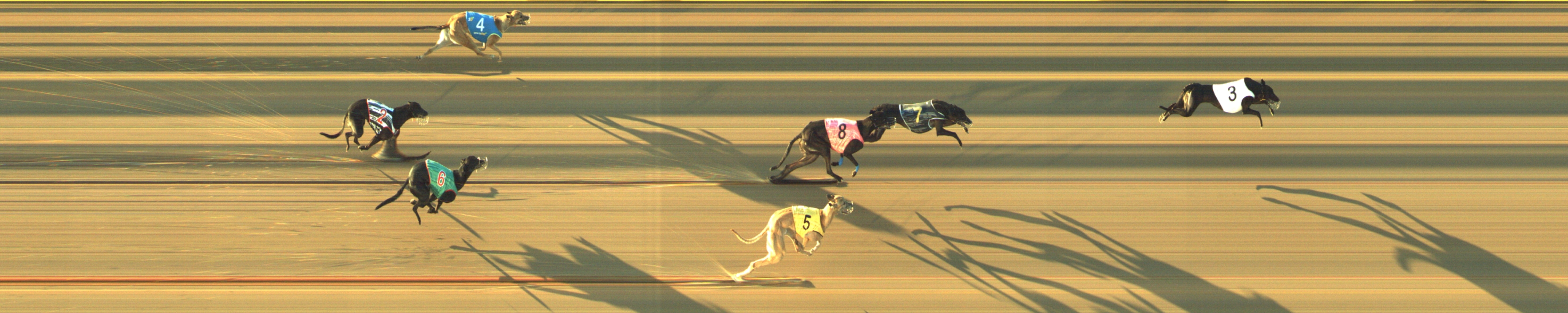 Photo finish for Geelong Race 4