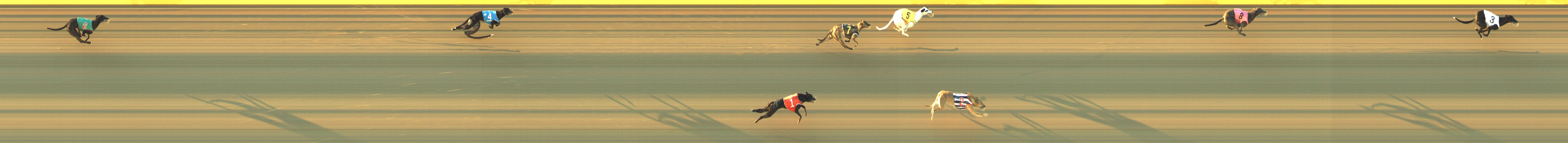 Photo finish for Geelong Race 5