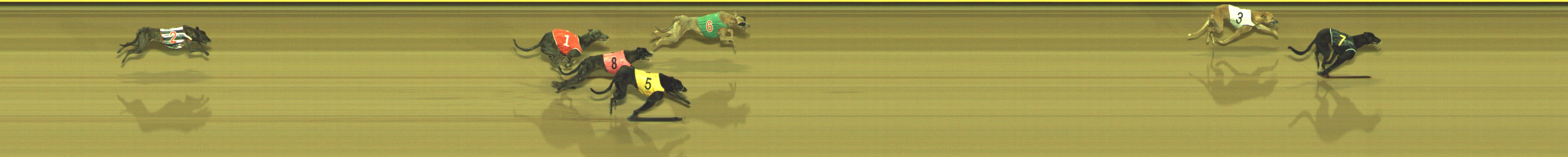 Photo finish for Geelong Race 7