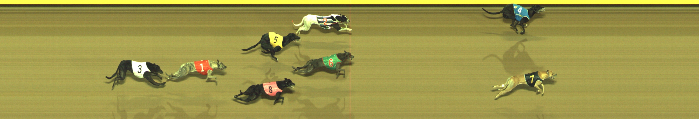 Photo finish for Geelong Race 8