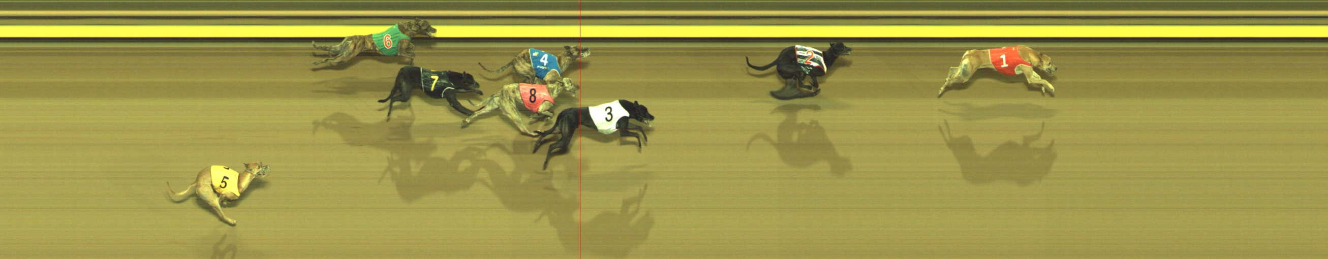 Photo finish for Geelong Race 9
