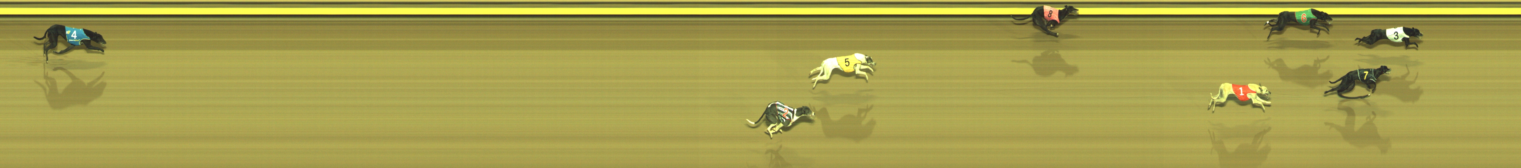 Photo finish for Geelong Race 10