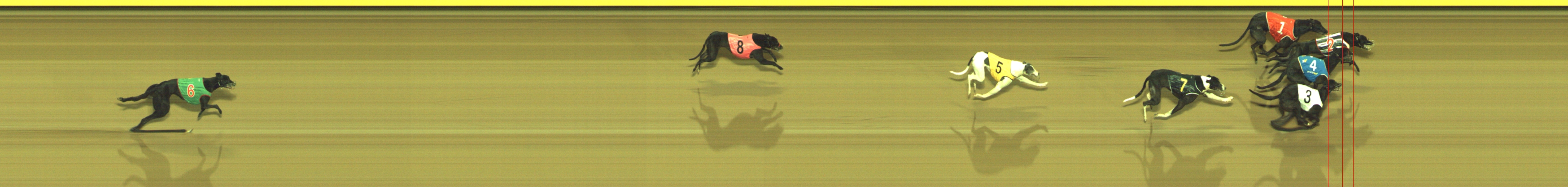 Photo finish for Geelong Race 11