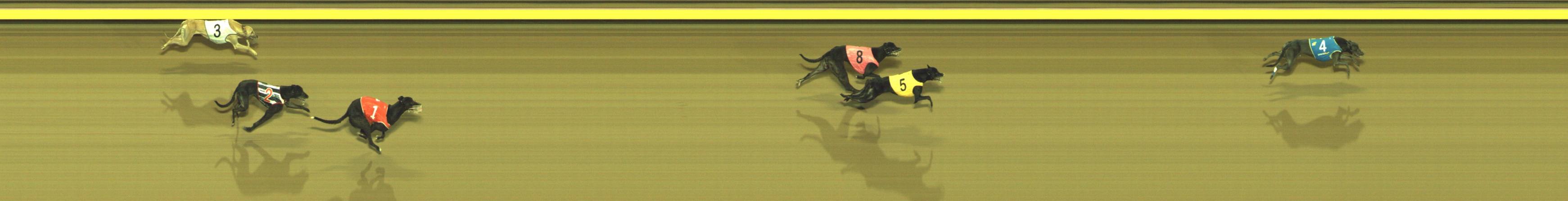 Photo finish for Geelong Race 12