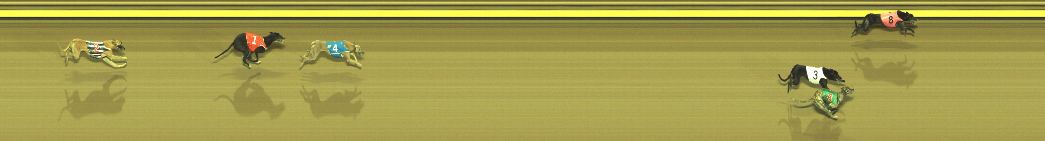 Race result finish photo