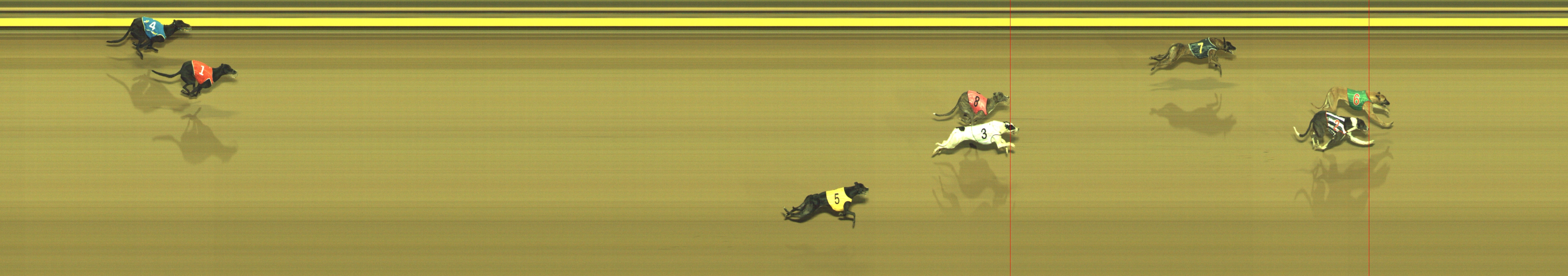 Race result finish photo