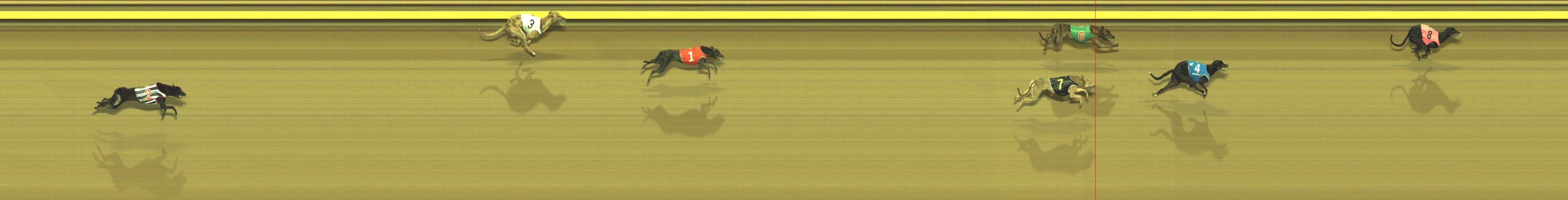 Photo finish for Geelong Race 2