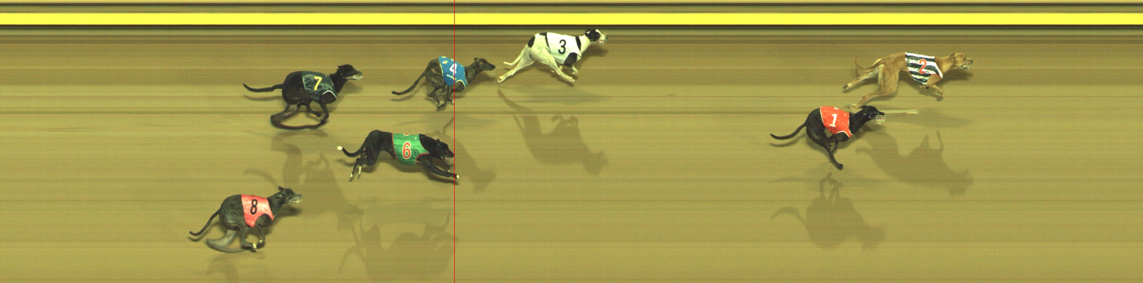 Photo finish for Geelong Race 3