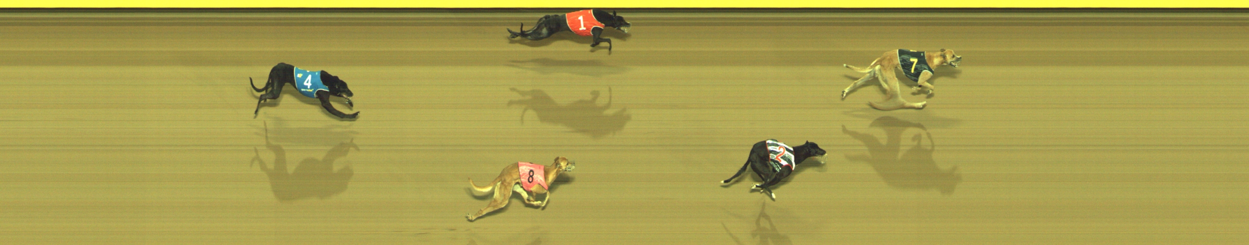 Photo finish for Geelong Race 4