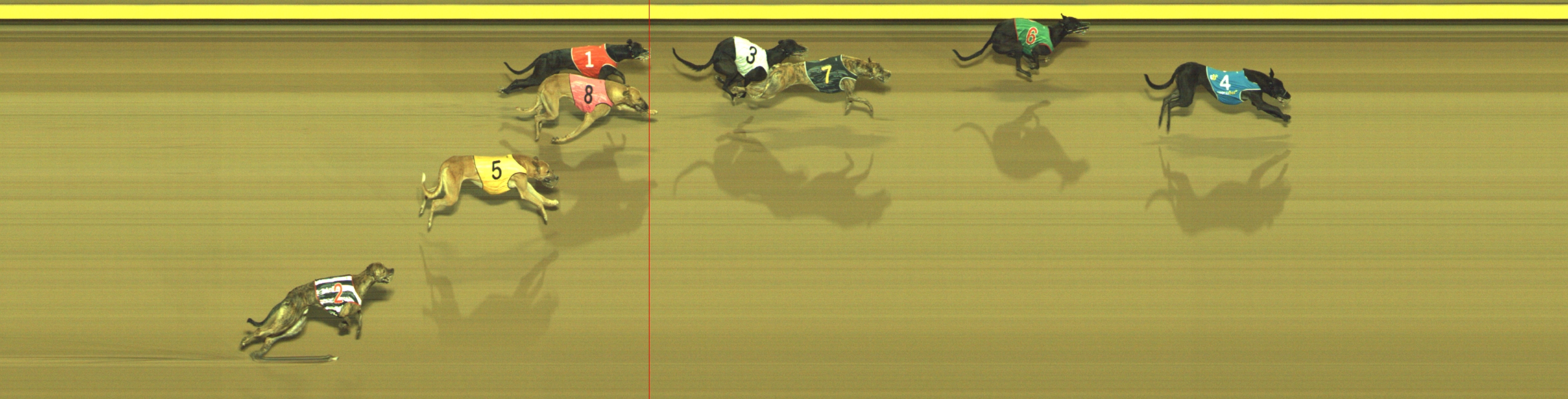 Photo finish for Geelong Race 5