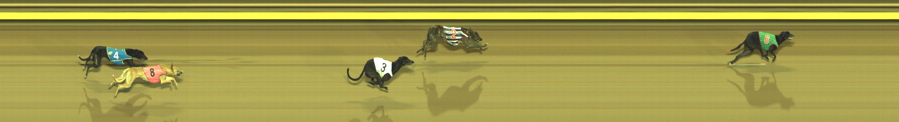 Photo finish for Geelong Race 6