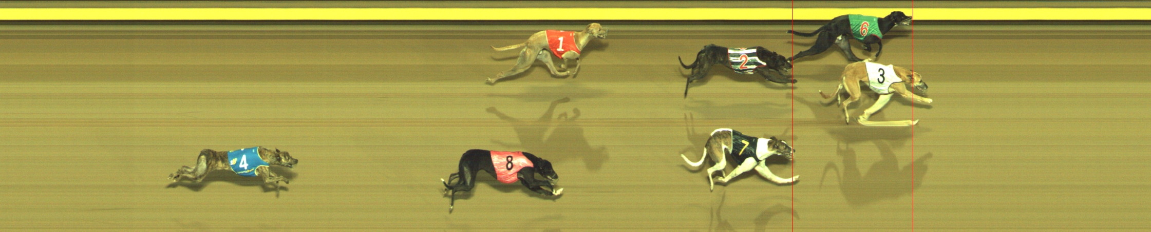 Photo finish for Geelong Race 7