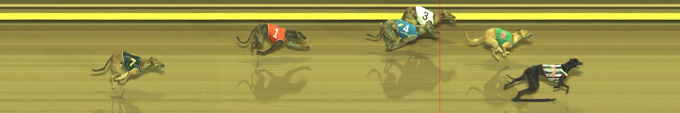 Photo finish for Geelong Race 8
