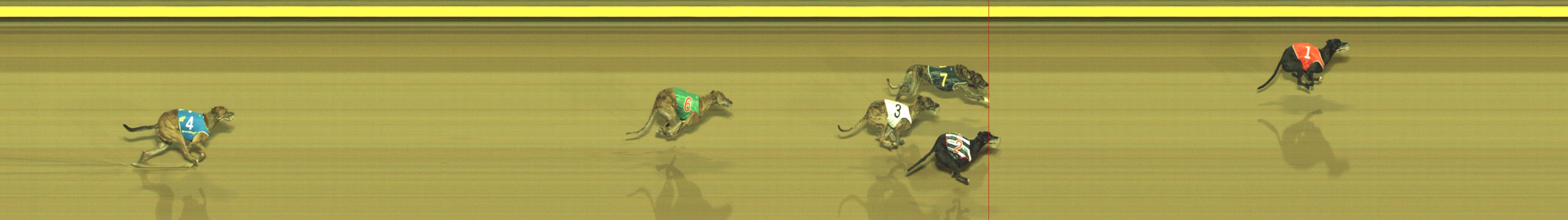 Photo finish for Geelong Race 9