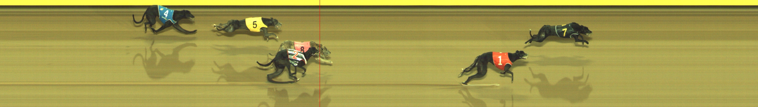 Photo finish for Geelong Race 10