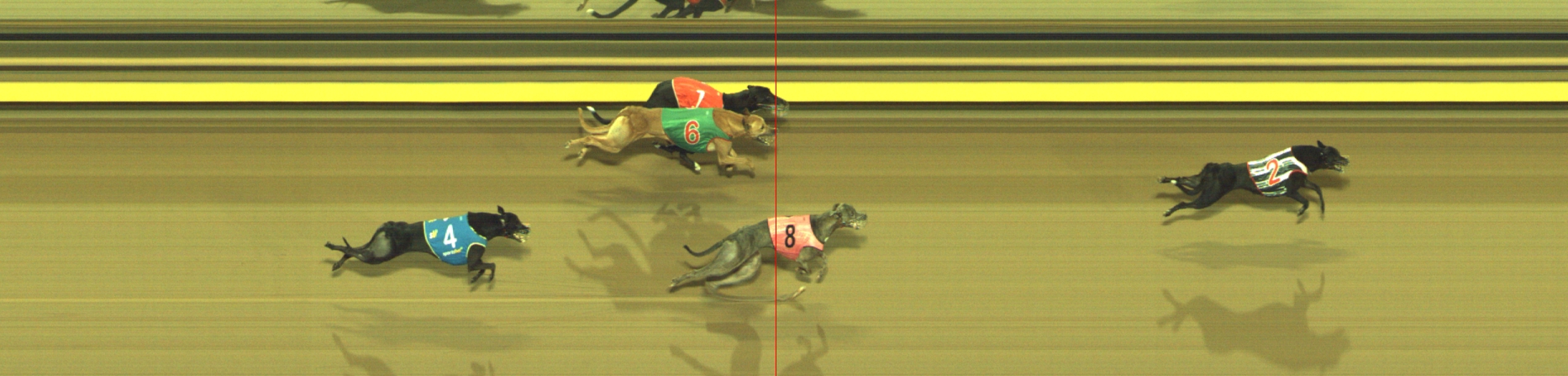 Photo finish for Geelong Race 11