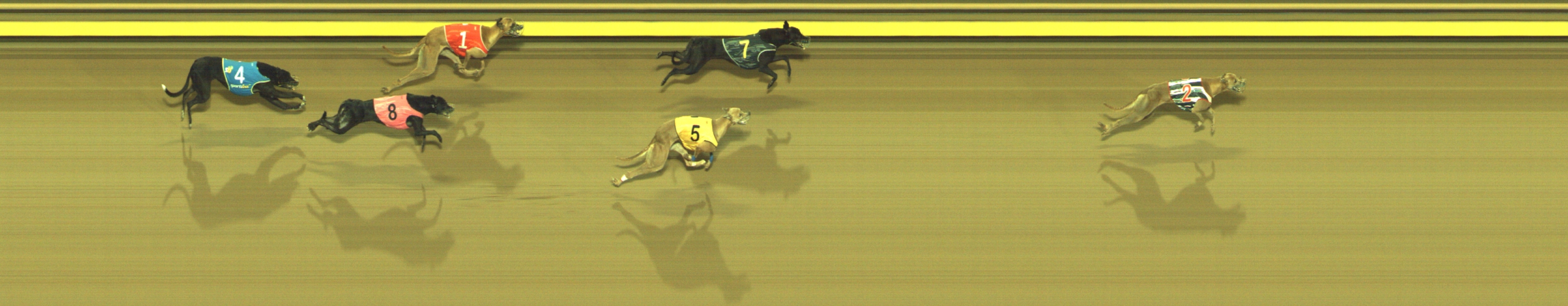 Photo finish for Geelong Race 12