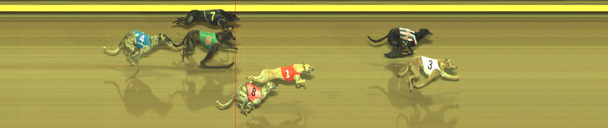 Photo finish for Geelong Race 13