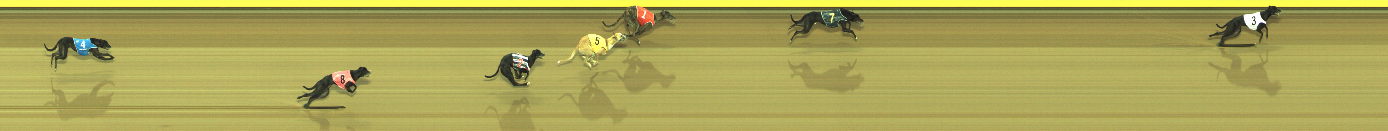 Race result finish photo