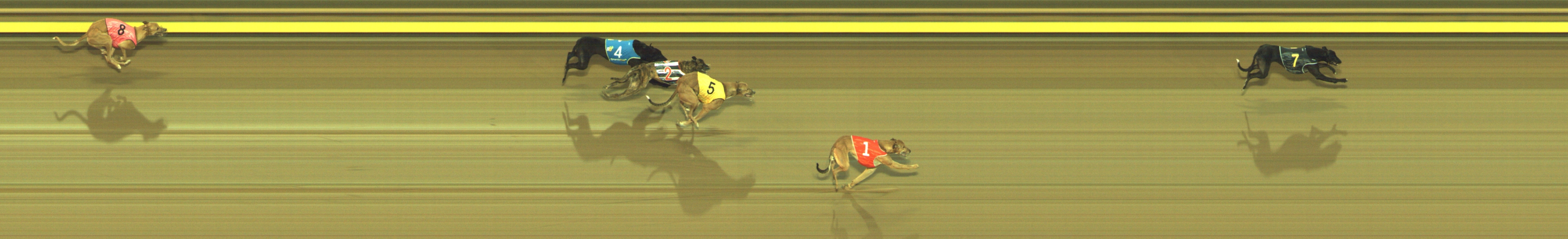 Photo finish for Geelong Race 2