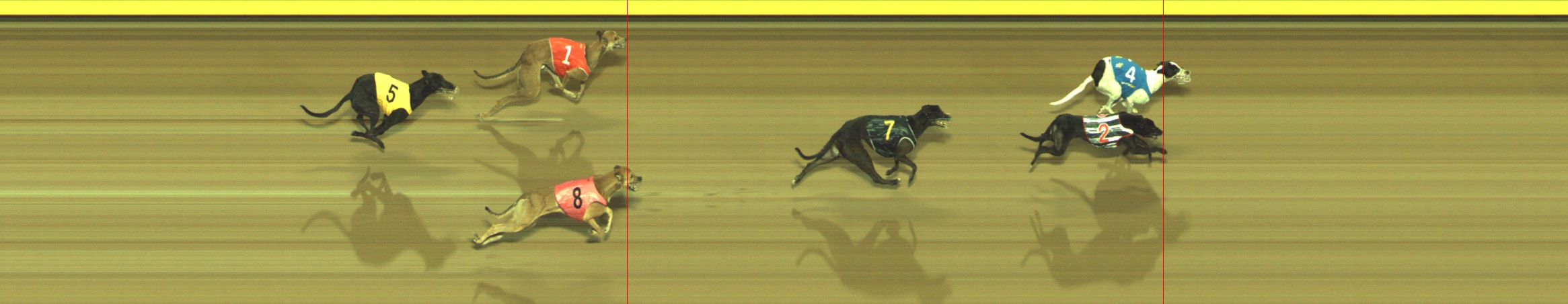 Photo finish for Geelong Race 3