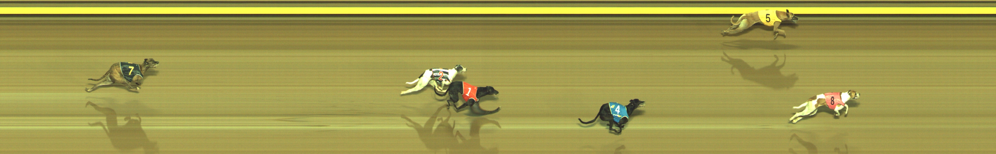 Photo finish for Geelong Race 4