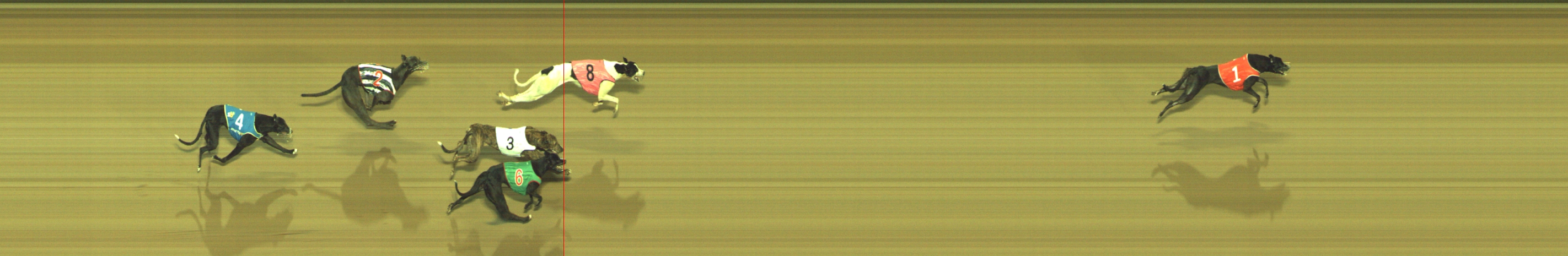 Photo finish for Geelong Race 5