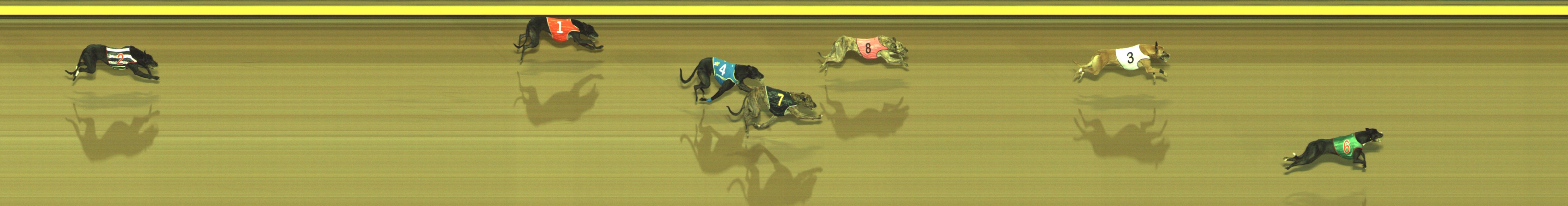 Photo finish for Geelong Race 6