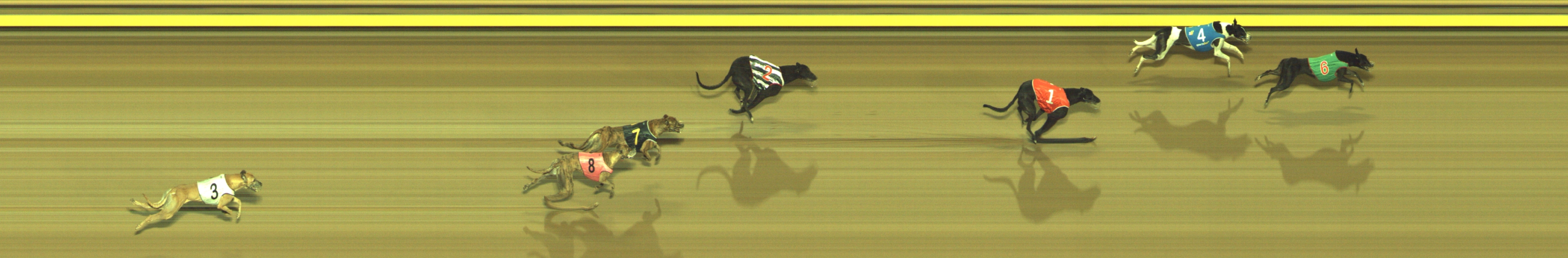 Photo finish for Geelong Race 7