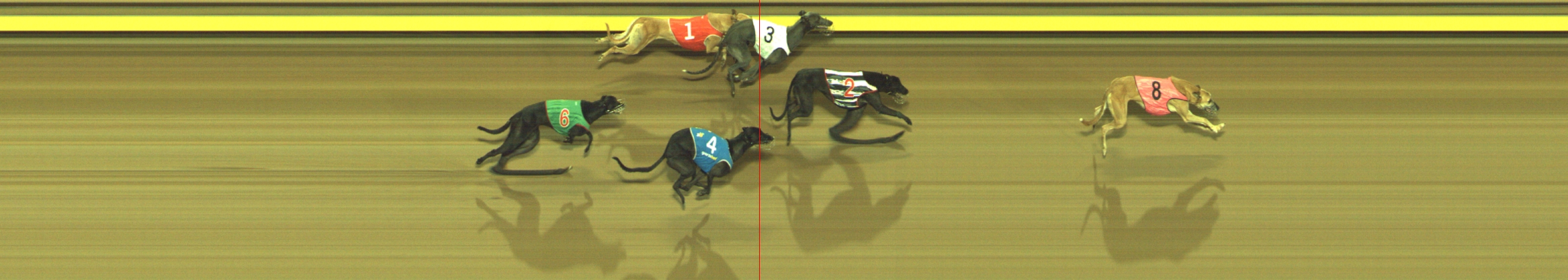 Photo finish for Geelong Race 8