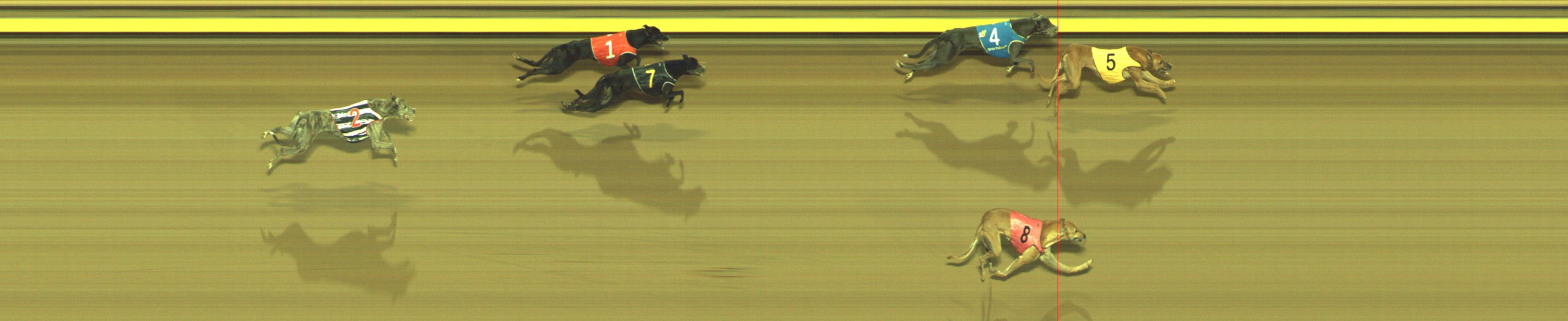 Photo finish for Geelong Race 9