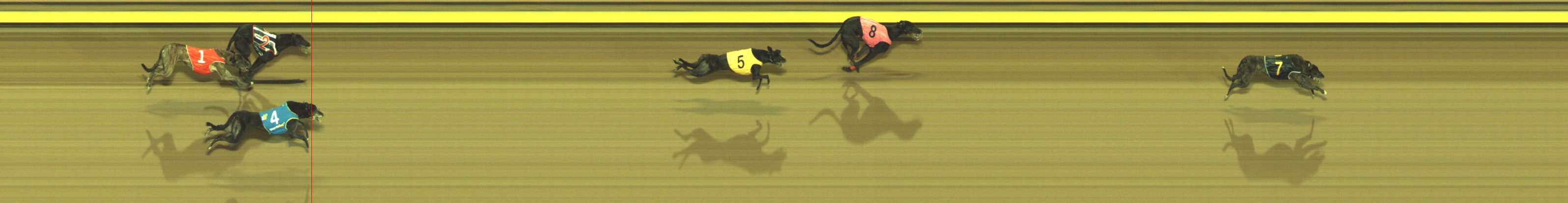 Photo finish for Geelong Race 10