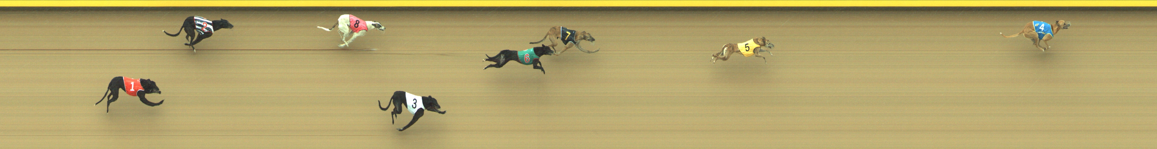 Race result finish photo