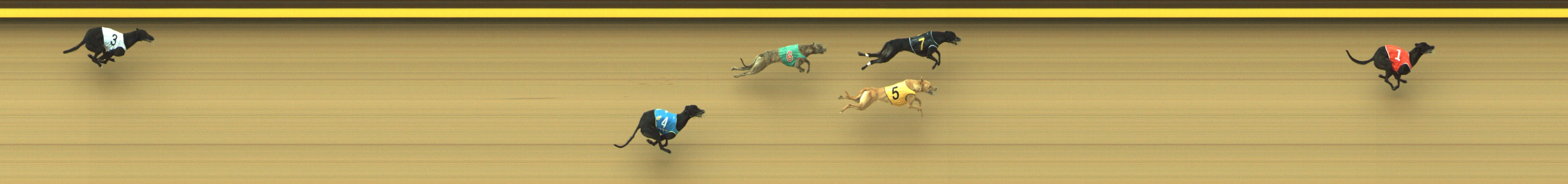 Photo finish for Geelong Race 2