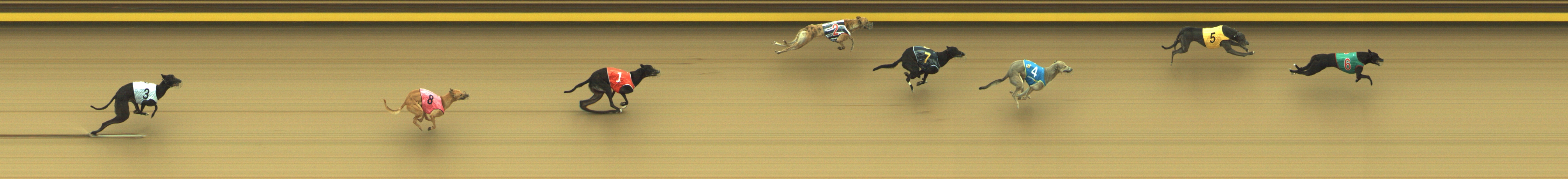 Photo finish for Geelong Race 3