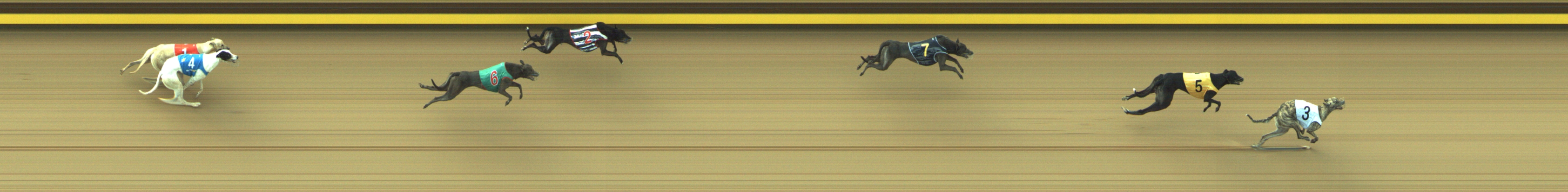 Photo finish for Geelong Race 4