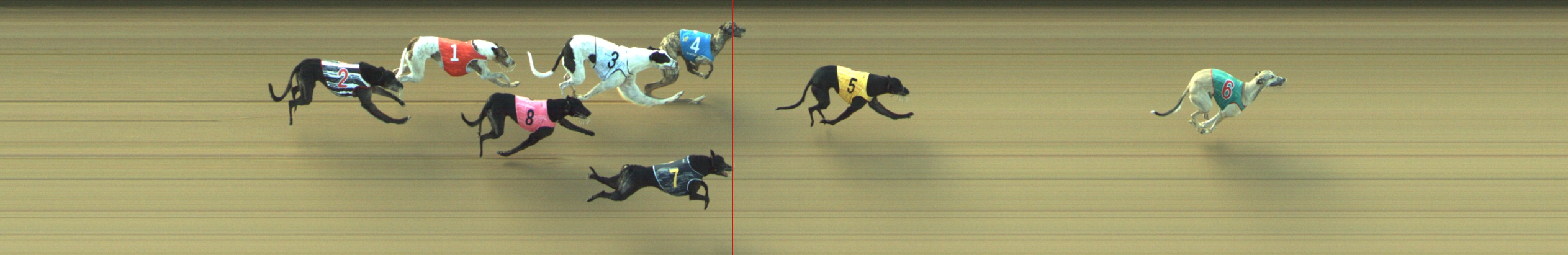 Photo finish for Geelong Race 5