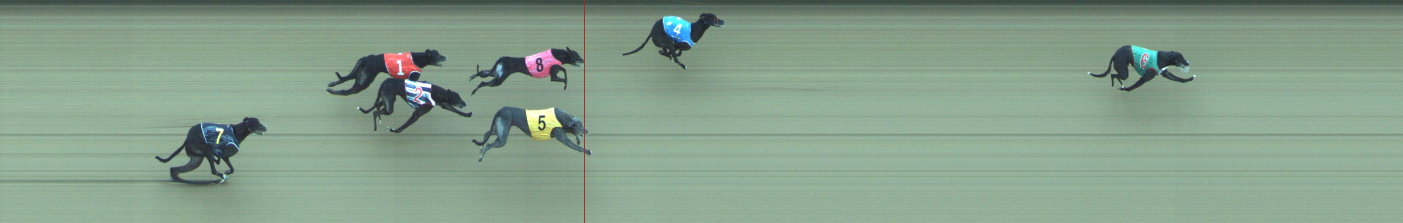 Photo finish for Geelong Race 6