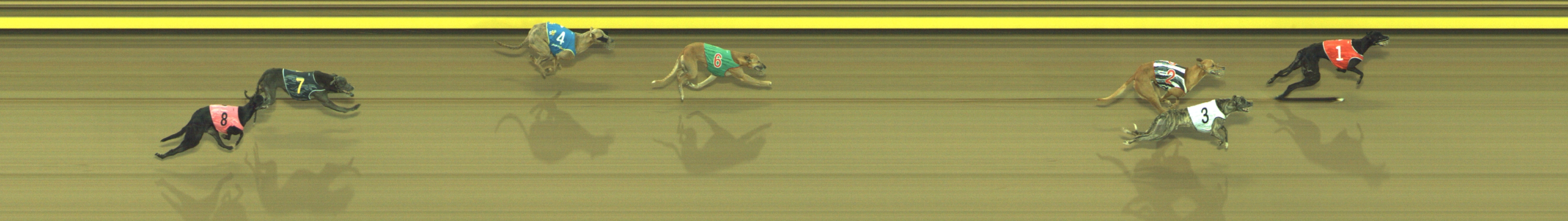 Photo finish for Geelong Race 7