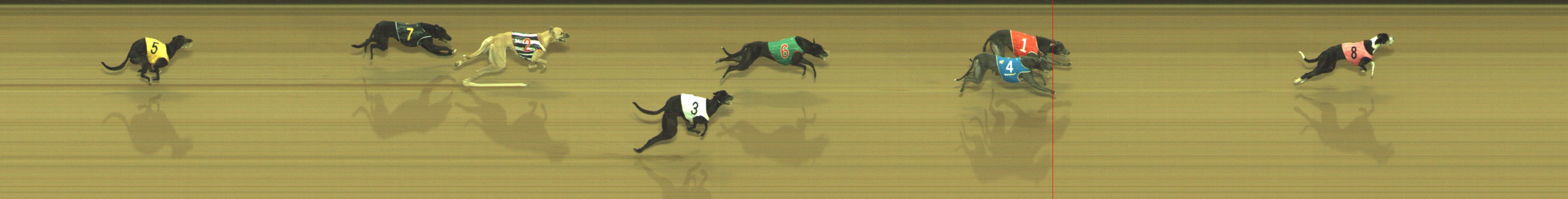 Photo finish for Geelong Race 8