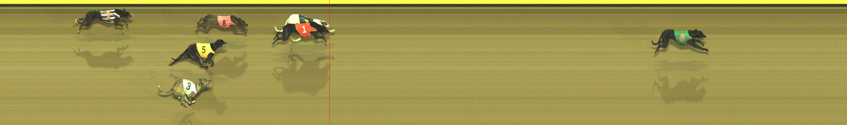 Photo finish for Geelong Race 9