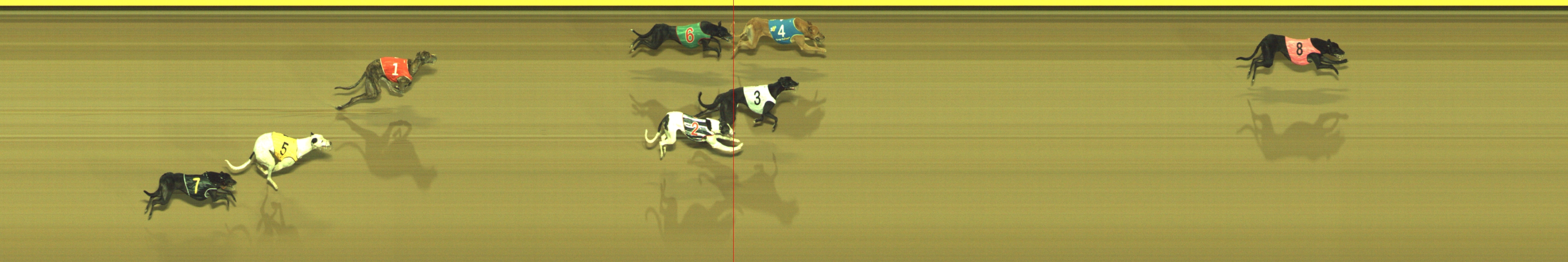 Photo finish for Geelong Race 10