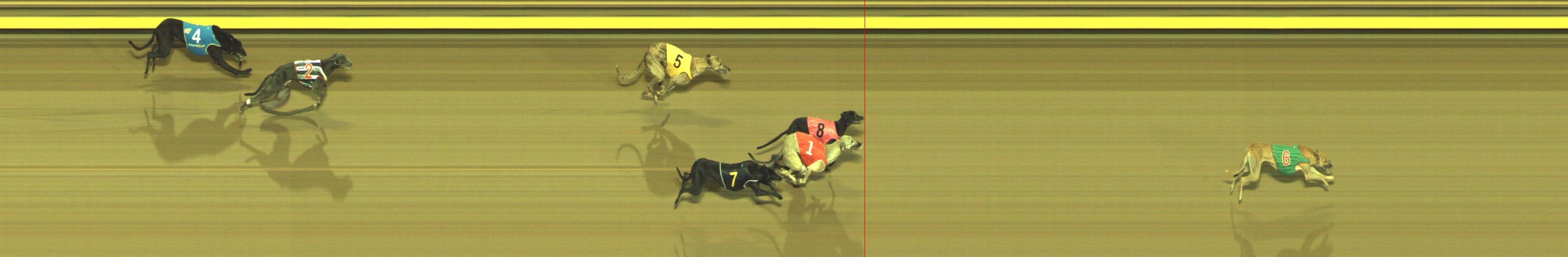 Photo finish for Geelong Race 11