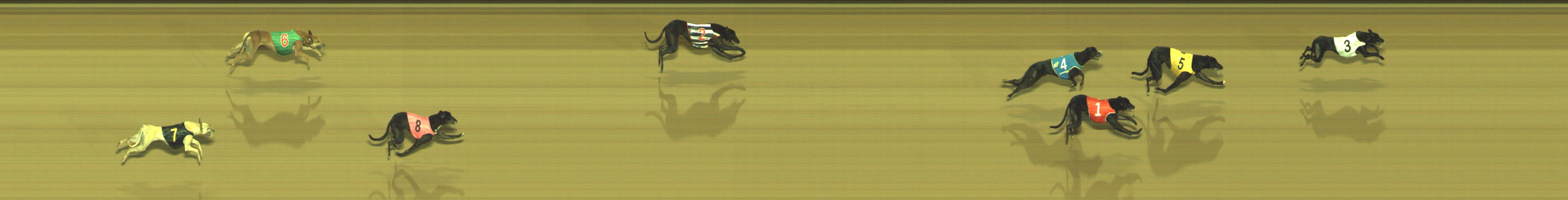 Photo finish for Geelong Race 12