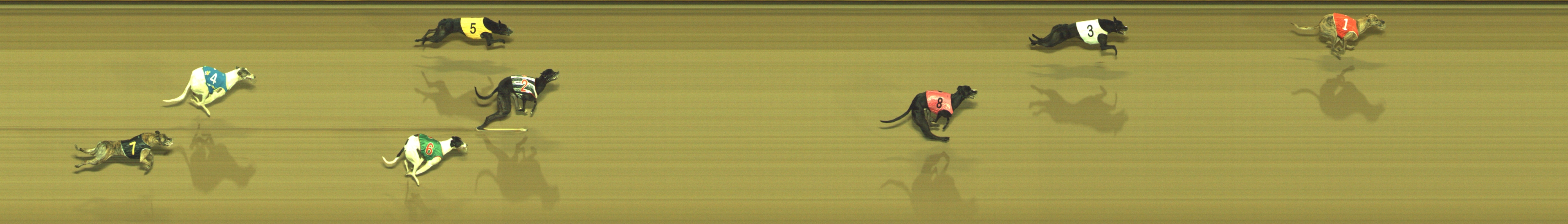 Photo finish for Geelong Race 13