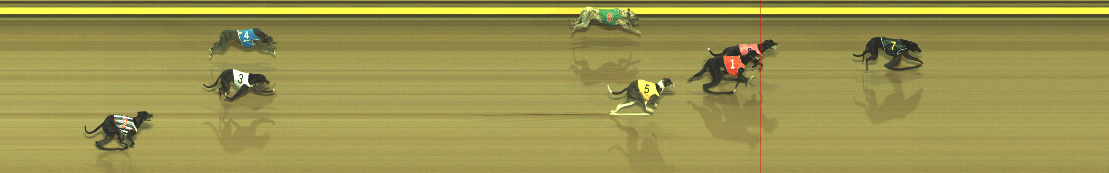 Photo finish for Geelong Race 1