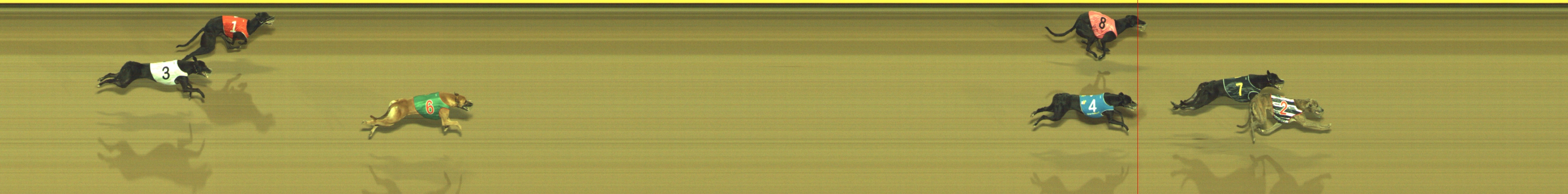 Photo finish for Geelong Race 3